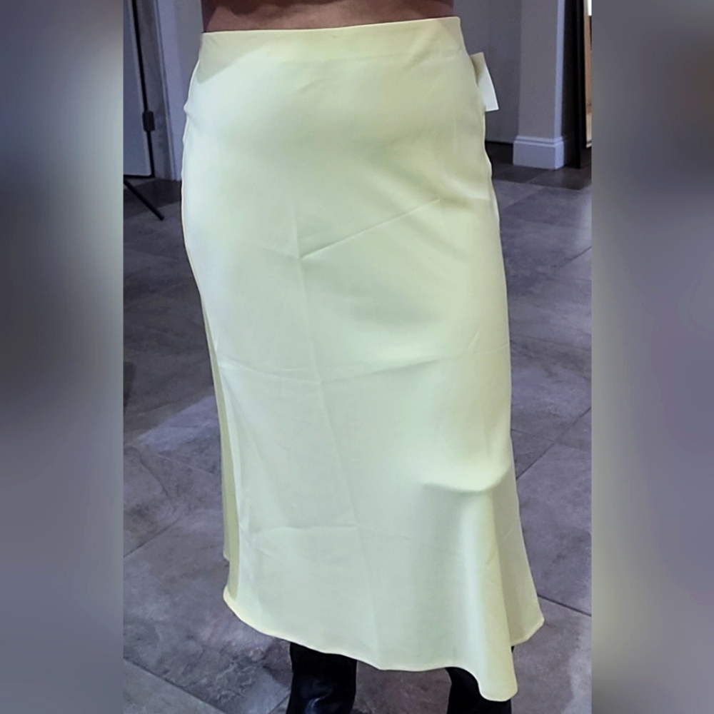 NWT Rachel Zoe skirt